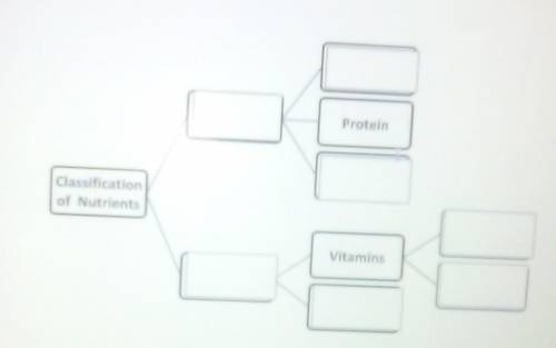Classification of nutrients flow chart