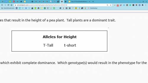 The following are alleles that result in the height of a pea plant. Tall plants are a dominant trai