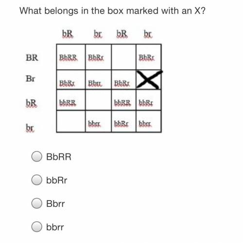 What belongs in the x box marked with an X?