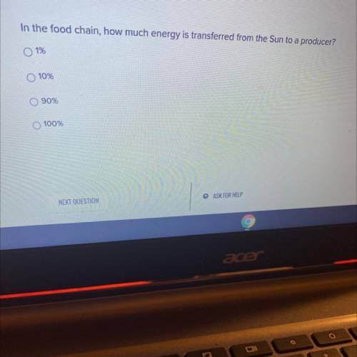 In the food chain, how much energy is transferred from the Sun to a producer?