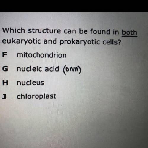 4 Which structure can be found in both

eukaryotic and prokaryotic cells?
F mitochondrion
G nuclei