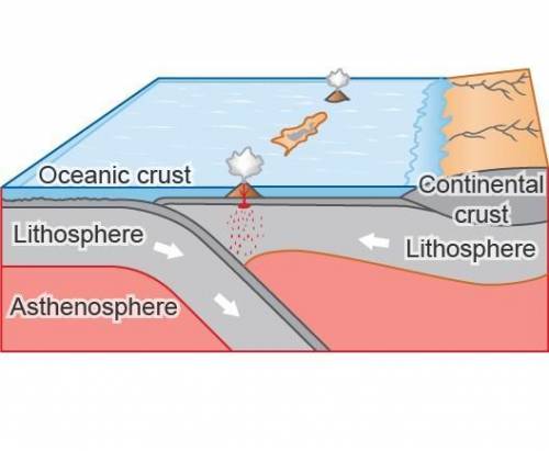 PLEASE HELP WILL MARK BRAINLIEST

Study the image of a plate boundary.
Which feature is forming?
A