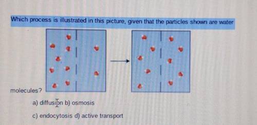 Which process is illustrated in this picture, given that the particles shown are water molecules?