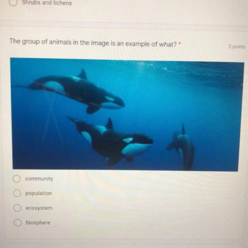 The group of animals in the image is an example of what?