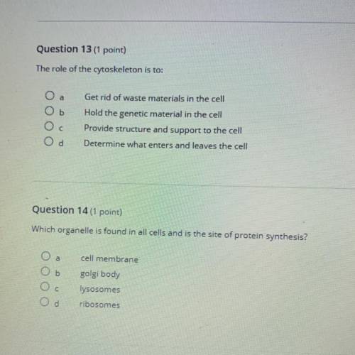 Help me with these two questions please