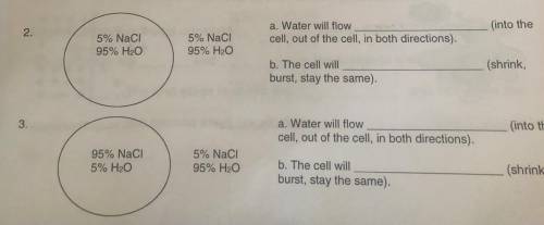2.

(into the
5% NaCl
95% H2O
5% NaCl
95% H2O
a. Water will flow
cell, out of the cell, in both di