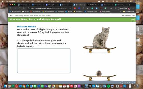 PLEASE HELP

If you apply the same force to push each skateboard, will the cat or the rat