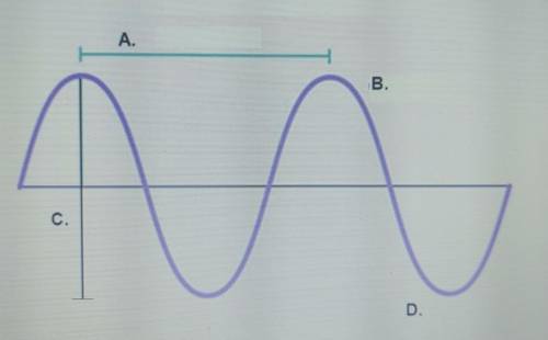 match the word to the part of the wave Trough,Wavelengeth,Amplitude,Crest help me now plz if you do