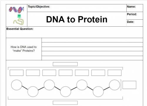 DNA TO PROTEIN

How is DNA used to “make” Proteins? 
OCA2 Gene: 
ATA CTC TAC CTT GAG CCG