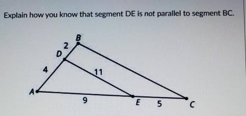 Explain how you know that segment DE is not parallel to segment BC.