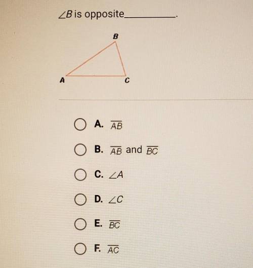 I dont know how to write the question or answers