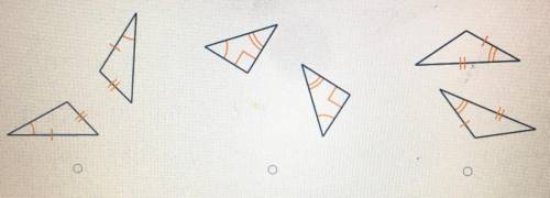 Which pair of triangles can be proven congruent by SAS?