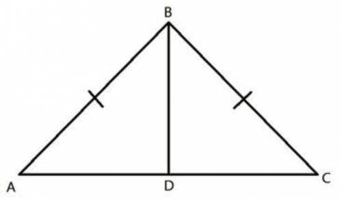 Question 10 (50 points) Is there enough information to prove that the triangles are congruent? If y