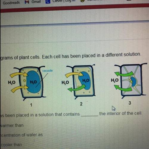 Examine the following diagrams of plant cells Fach cell has been placed in a different solution.