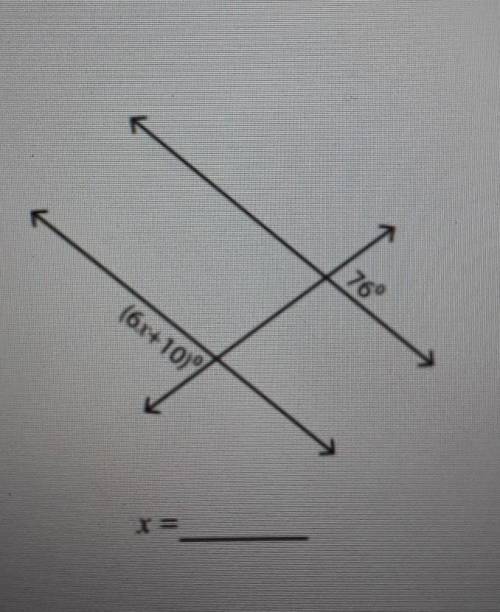 Find the value of x x=