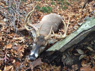 Hey all fellow hunters and country boys

we got him
19 inches wide 
10 points
pb whitetail with th