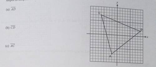 Graphically determine the slopes of the line segments that create triangle ACD shown below. Write y
