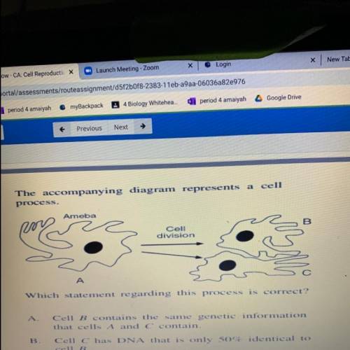 The accompanying diagram represents a cell

process.
Ameba
Cell
division
A
Which statement regardi