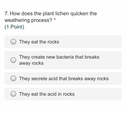 How does the plant lichen quicken the weathering process?