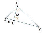 ANSWER ASAP

What is the length of Line segment B C, rounded to the nearest tenth? 
13.0 units
28.