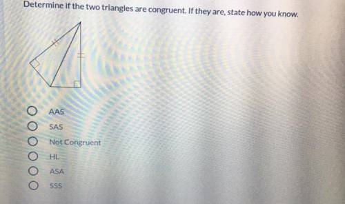 Can A Expert Answer This! Determine if the two triangles are congruent.
