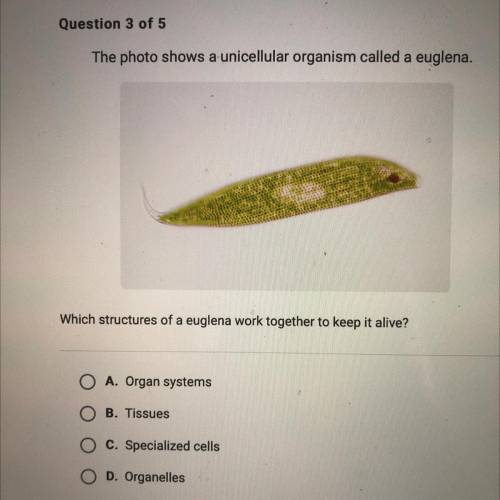 Which structures of a euglena work together to keep it alive?

O A. Organ systems
O B. Tissues
O C