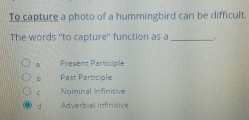 To capture a photo of a hummingbird can be difficult. The words to capture function as a Present