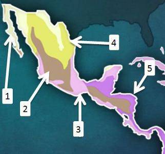 Analyze the map below and answer the question that follows.

 
A thematic map of Latin America. Cli