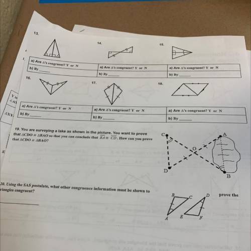 4-3 homework 
triangle congruence: SSS, SAS, HL, ASA, AAS