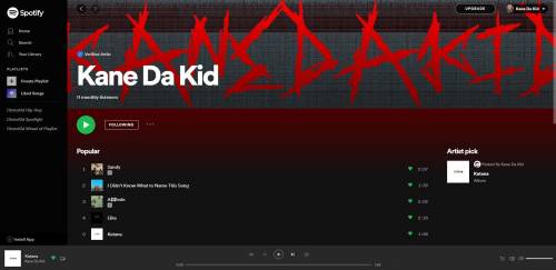 Can every body who sees this, can you go follow my spotify please?

My name is Kane Da Kid