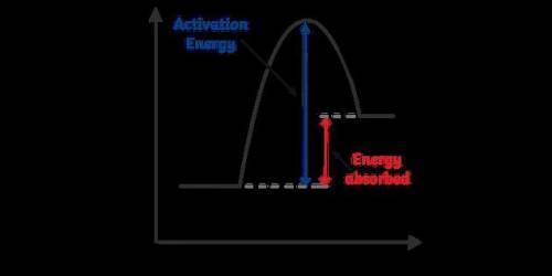 The graph below represents what type of reaction?

a. Combustion
b. Endothermic
c. Exothermic
d. F