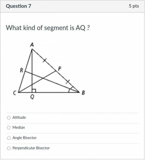 What kind of segment is AQ?