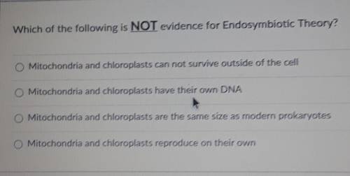 Which of the following is NOT evidence for Endosymbiotic Theory?