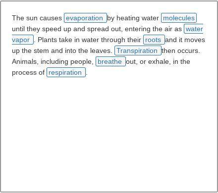 HELP FOR A TEST DUE AT 11:59 am CST

Highlight the three words that name how water vapor enters th