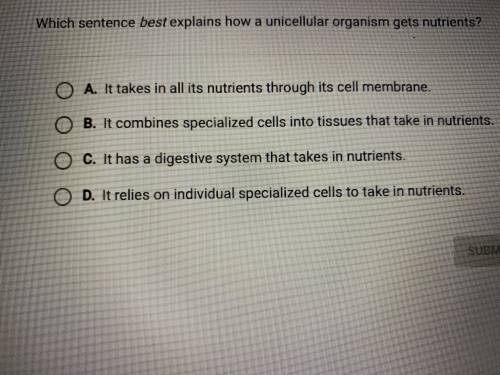 Which sentence best explains how a unicellular organism gets nutrients?