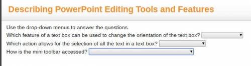Use the drop-down menus to answer the questions.

Which feature of a text box can be used to chang