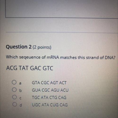 PLEASE HELP VERY IMPORTANT QUESTION
