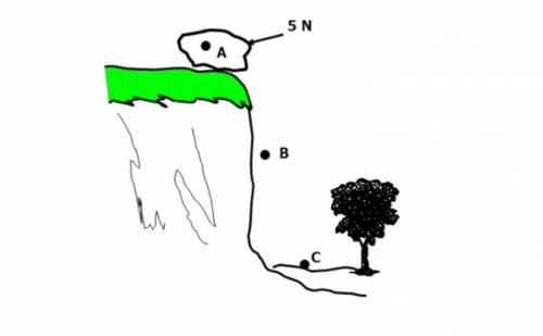 100 J of work was done to lift a 10-N rock and set it at Position A near the edge of a cliff.

1.