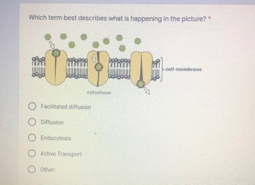 Which term best describes what is happening in the picture? *

cell membrana
cytoplasm
Facilitated