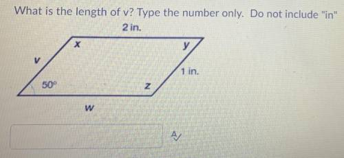 What is the length of v? Type the number only. Do not include in