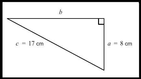 What is the length of the unknown side of this triangle?