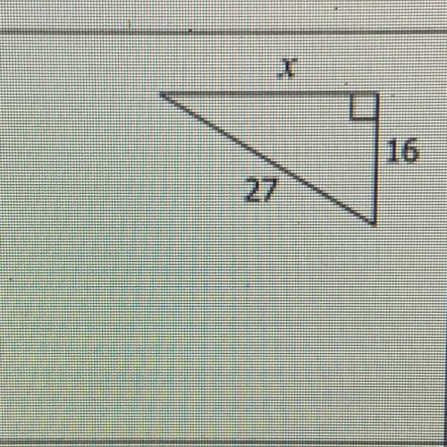 May someone tell me what the value of x is ?