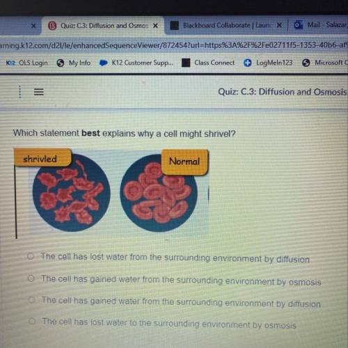 Which statement best explains why a cell might shrivel?