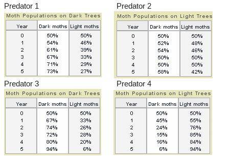Predator 1 Predator 2 A 3 column table with 6 rows titled Moth Populations on Light Trees. Column 1