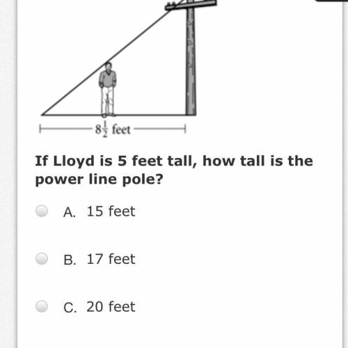 Lloyd is standing near a power line pole as shown in the figure. When his head touches the support