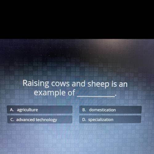 Raising cows and sheep is an

example of ______.
A. agriculture
B. domestication
C. advanced techn