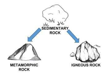 This question is 15 points.

1. Quartz is a mineral found in many rocks. The sedimentary rock in t