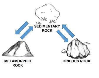 This question is 15 points.

1. Quartz is a mineral found in many rocks. The sedimentary rock in t