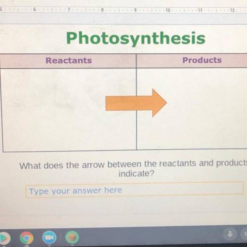 What does the arrow between the reactants and products
indicate?