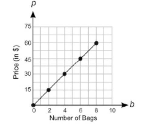 The graph below shows the price of different numbers of swim bags at a store:

A graph is shown. T